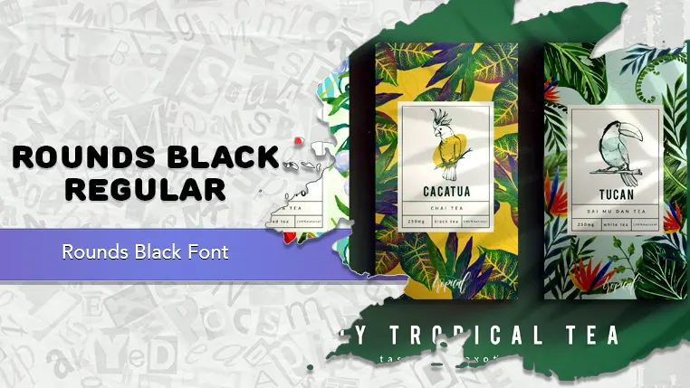 Rounds Black Font